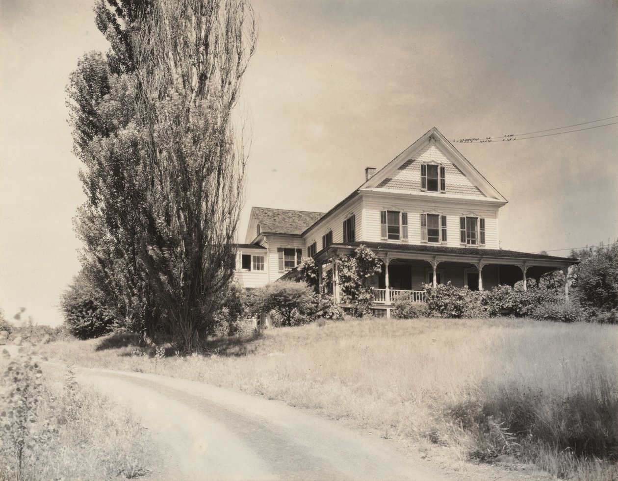House ja Poplars, Lake George tekijältä Alfred Stieglitz