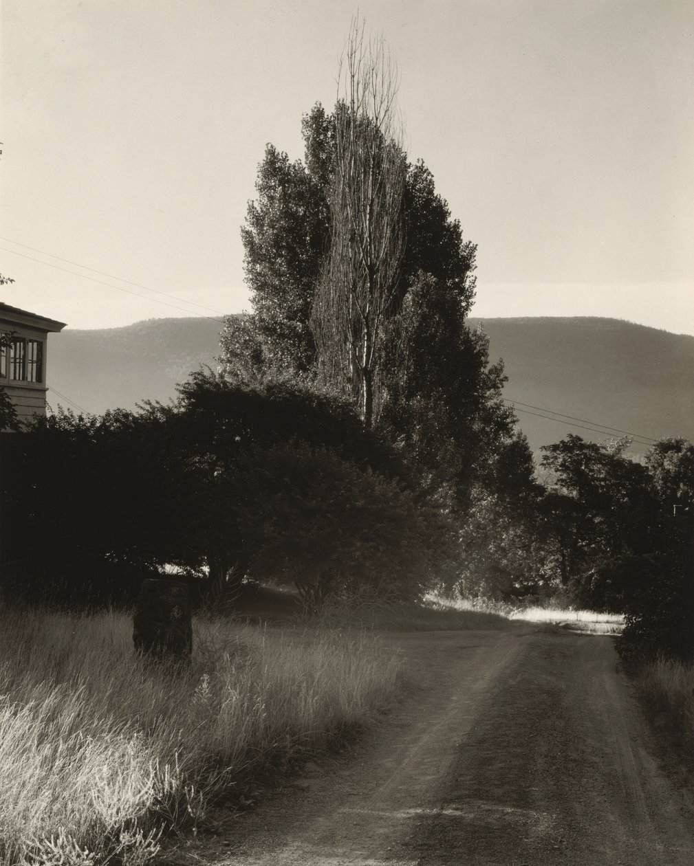 Talo ja poppelit, Lake George tekijältä Alfred Stieglitz
