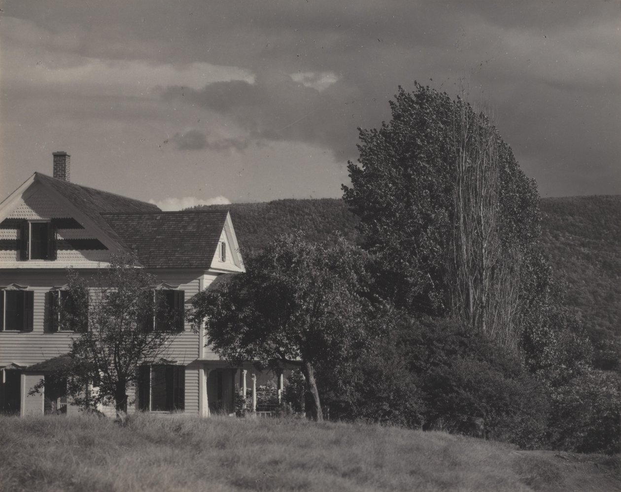 Talo ja poppelit, Lake George tekijältä Alfred Stieglitz