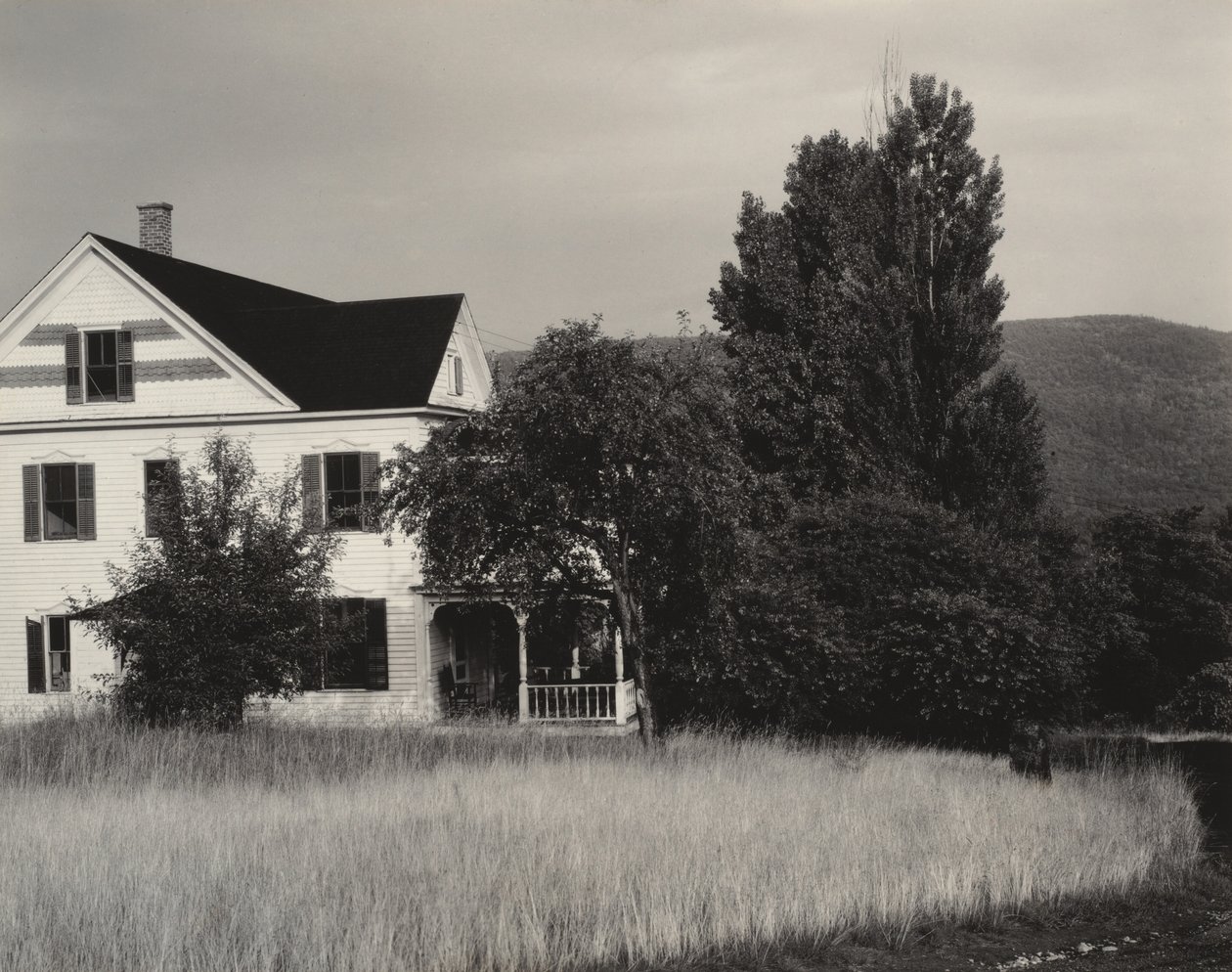 Talo ja puut, Lake George tekijältä Alfred Stieglitz