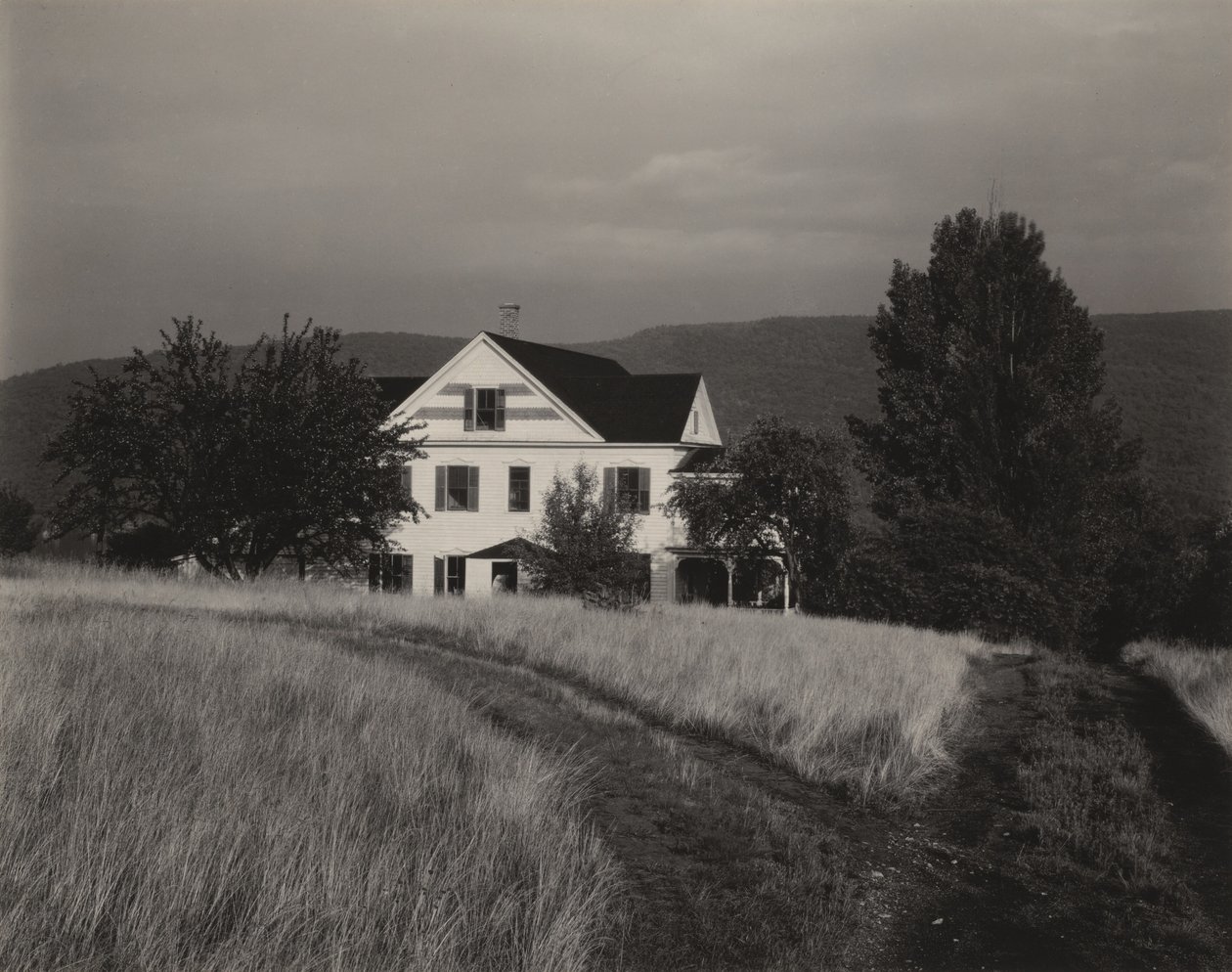 Talo ja puita, Lake George tekijältä Alfred Stieglitz