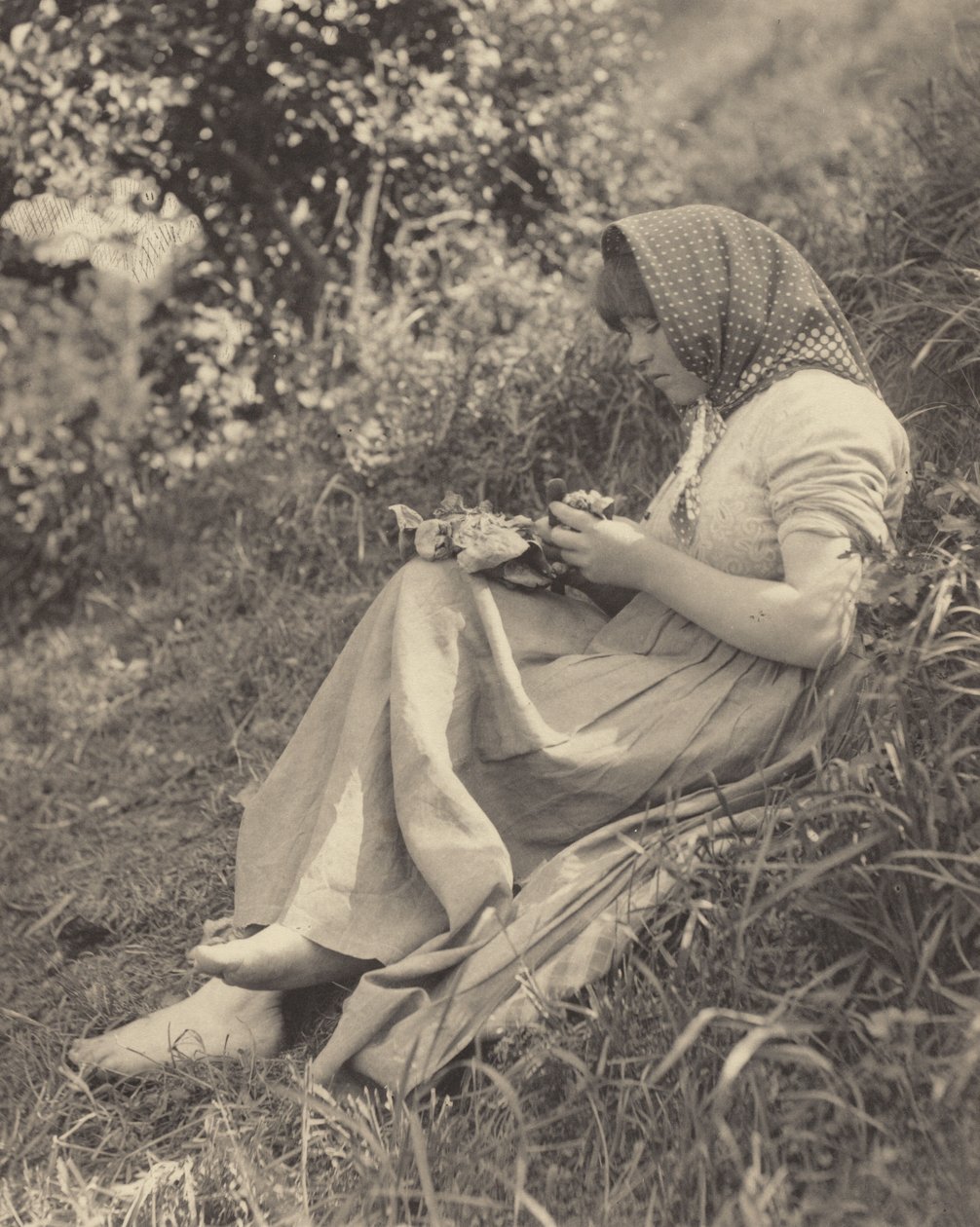 Täydessä auringonvalossa tekijältä Alfred Stieglitz