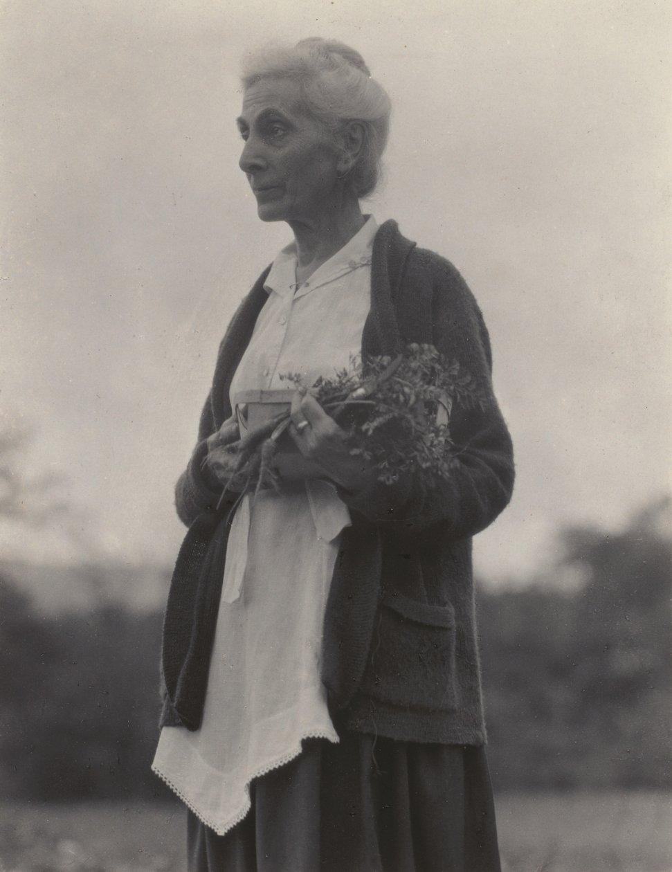 Katherine Herzig tekijältä Alfred Stieglitz