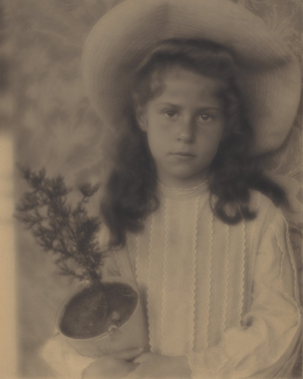 Kitty – Kukkaruukku tekijältä Alfred Stieglitz