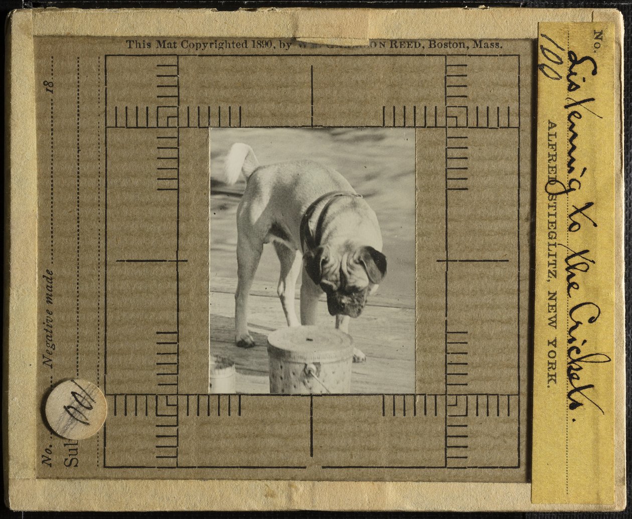 Cricketsin kuunteleminen, c. 1900. tekijältä Alfred Stieglitz