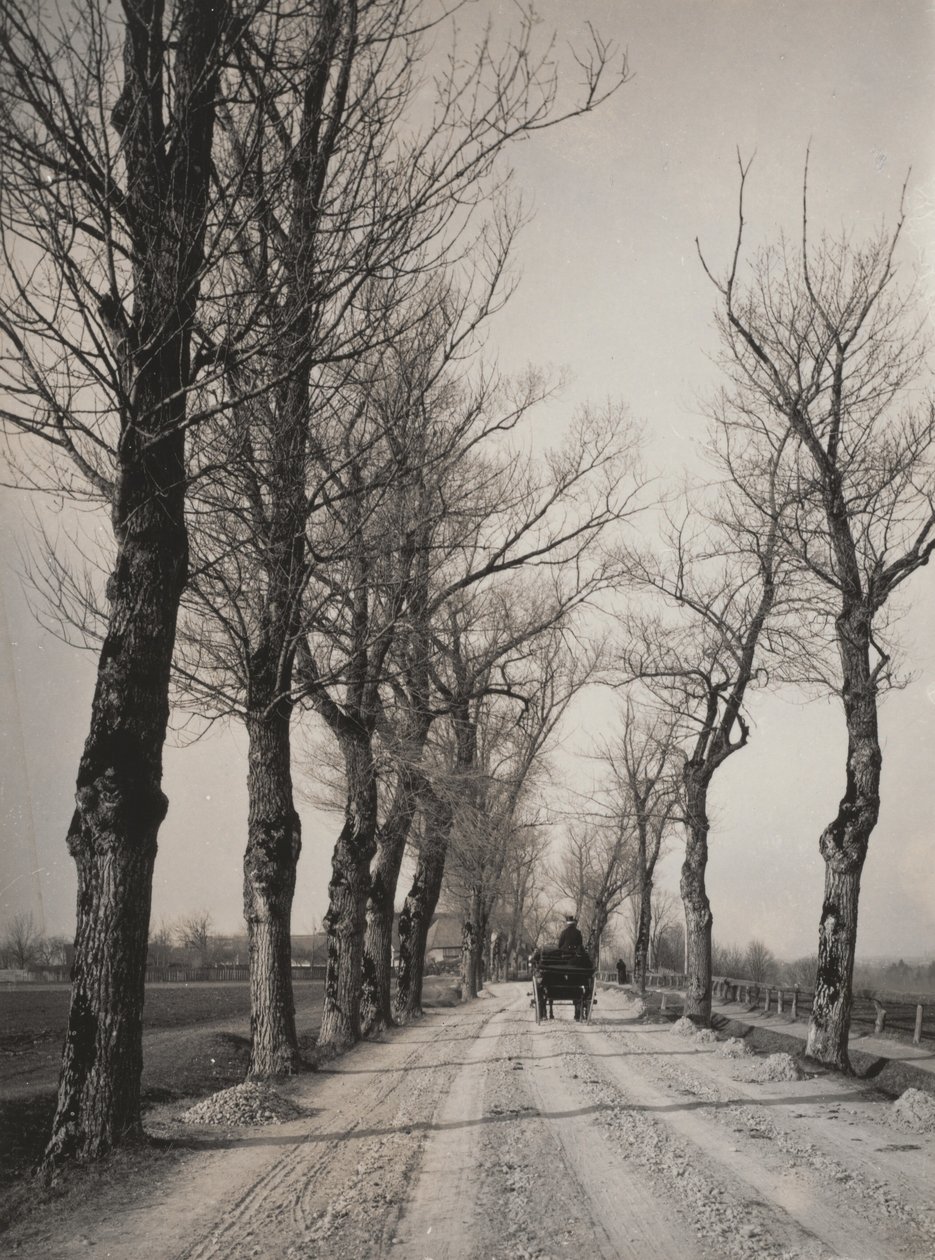 Marraskuun päivät tekijältä Alfred Stieglitz