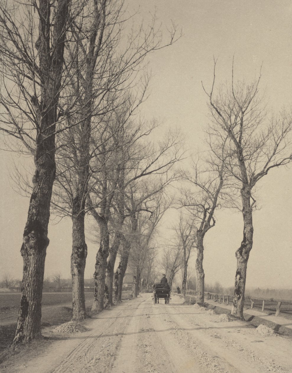 Marraskuun päivät tekijältä Alfred Stieglitz