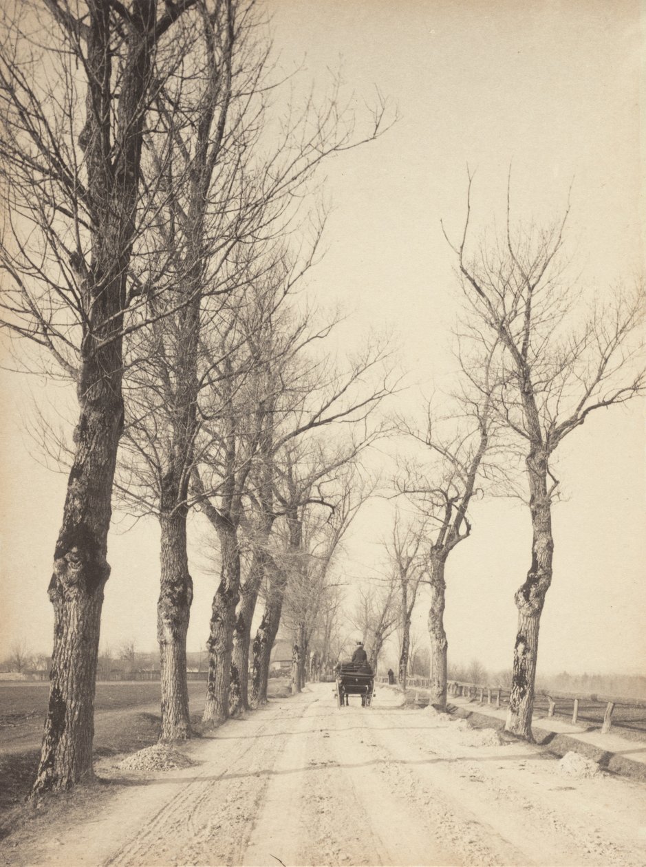 Marraskuun päiviä tekijältä Alfred Stieglitz