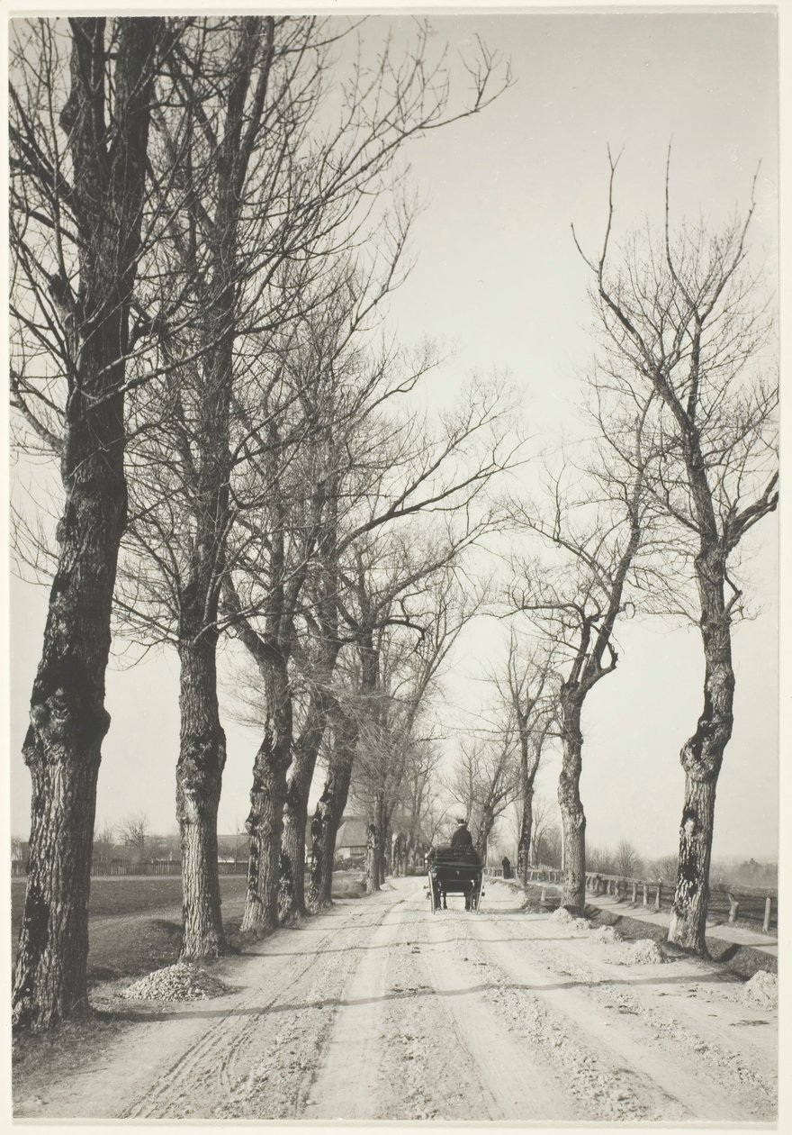 Marraskuun päivät, 1887, painettu 192039. tekijältä Alfred Stieglitz