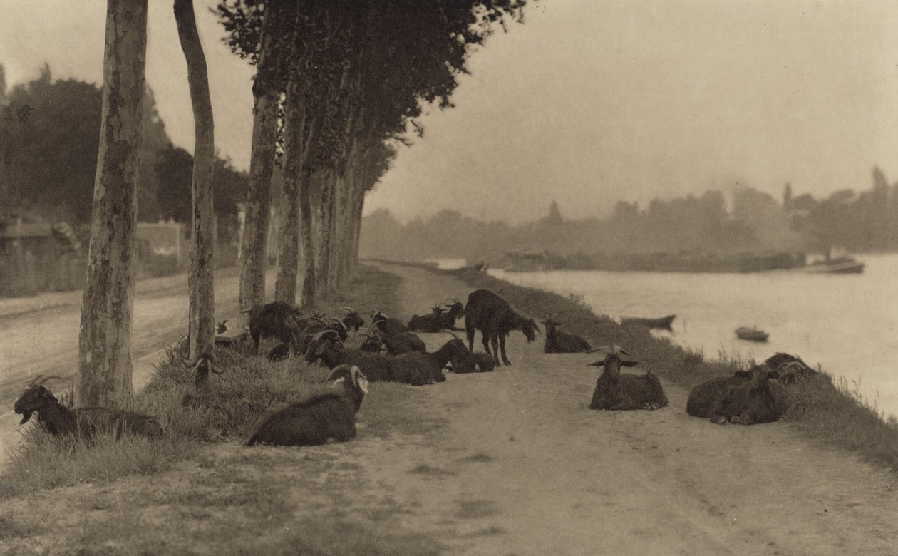 Seinen varrella – Pariisin lähellä tekijältä Alfred Stieglitz