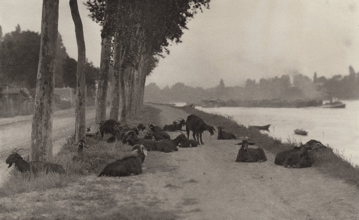 Seinen varrella - lähellä Pariisia tekijältä Alfred Stieglitz