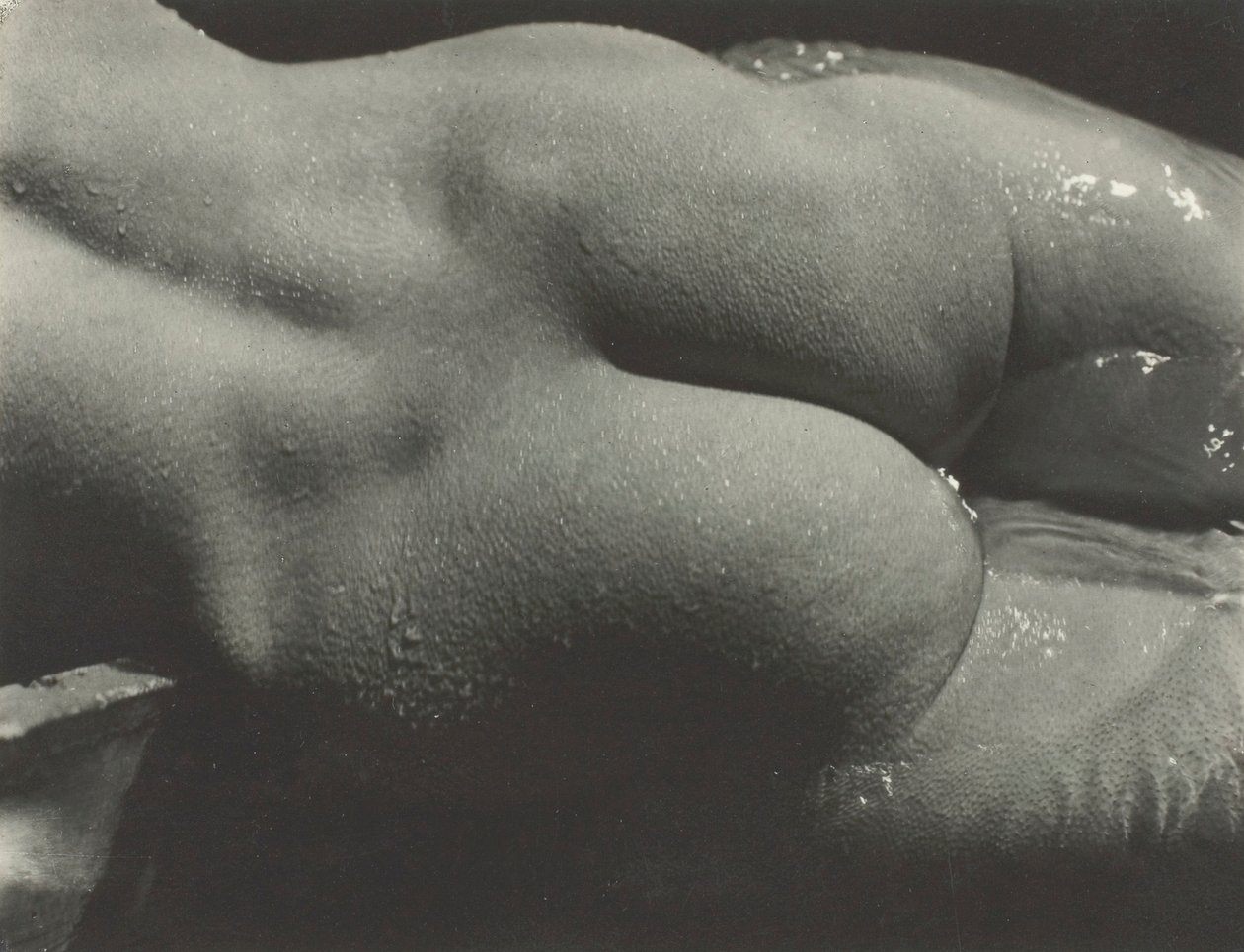 Rebecca Salsbury Strand, 1922. tekijältä Alfred Stieglitz