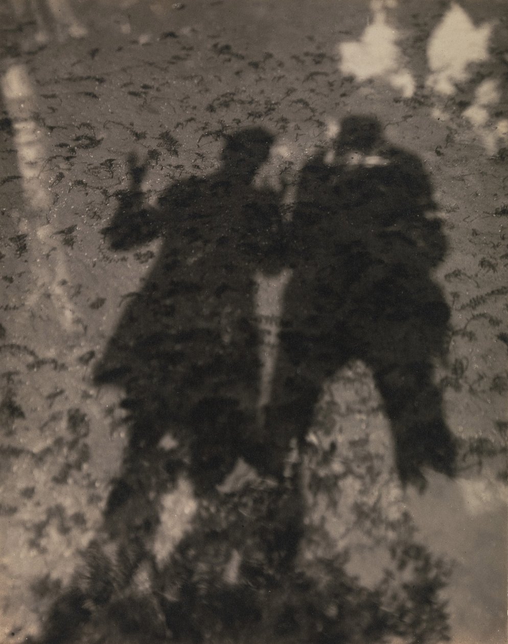 Varjot järvessä tekijältä Alfred Stieglitz