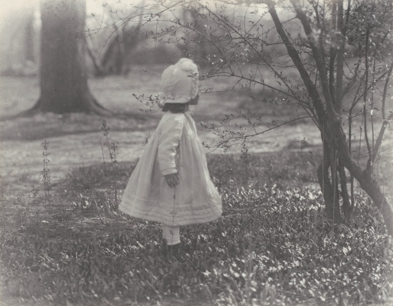 Kevät tekijältä Alfred Stieglitz