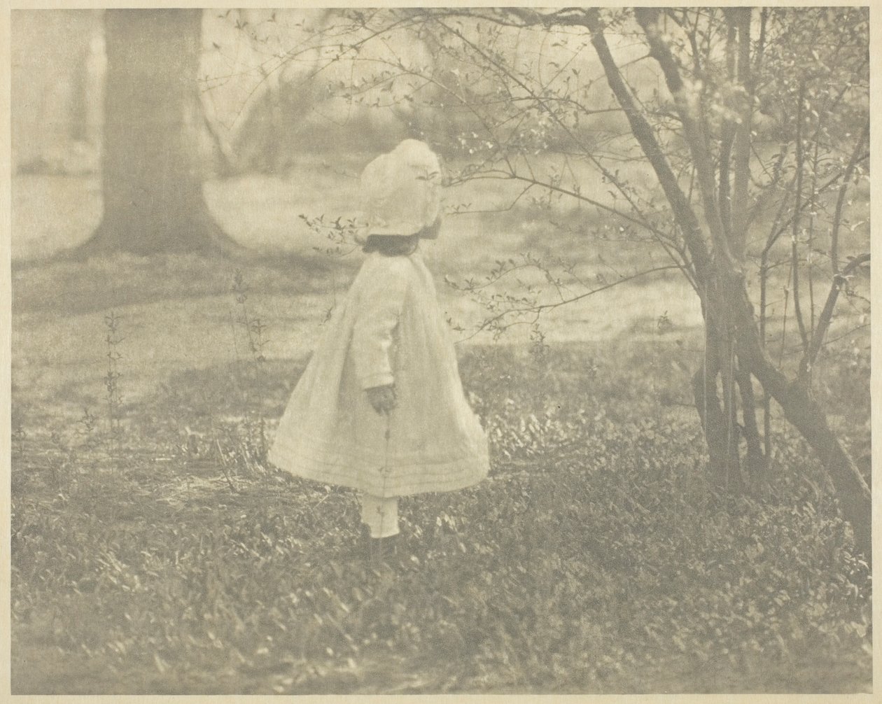 Kevät - Lapsi tekijältä Alfred Stieglitz