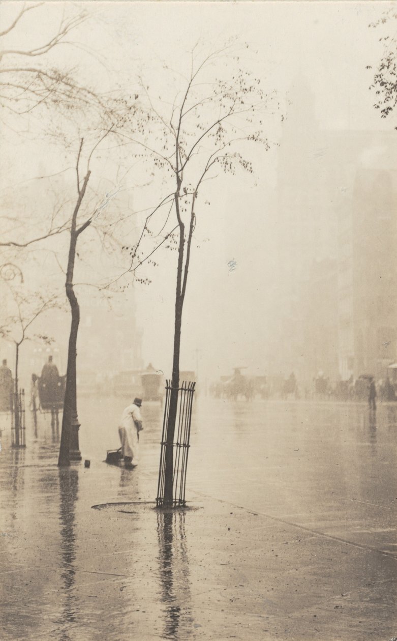Katupuhdistaja ja Pieni puu tekijältä Alfred Stieglitz