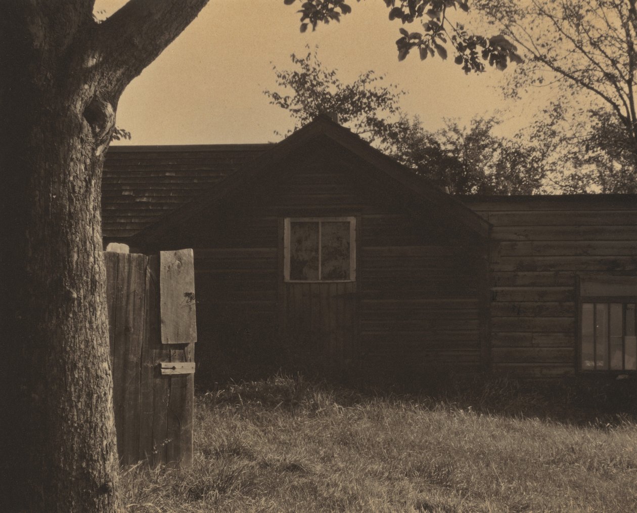 Lato tekijältä Alfred Stieglitz