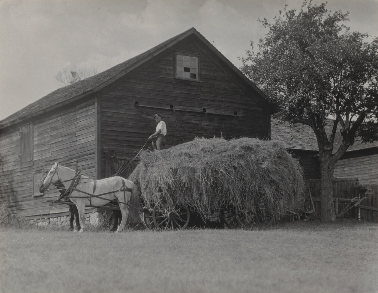 Heinävaunu ja lato tekijältä Alfred Stieglitz