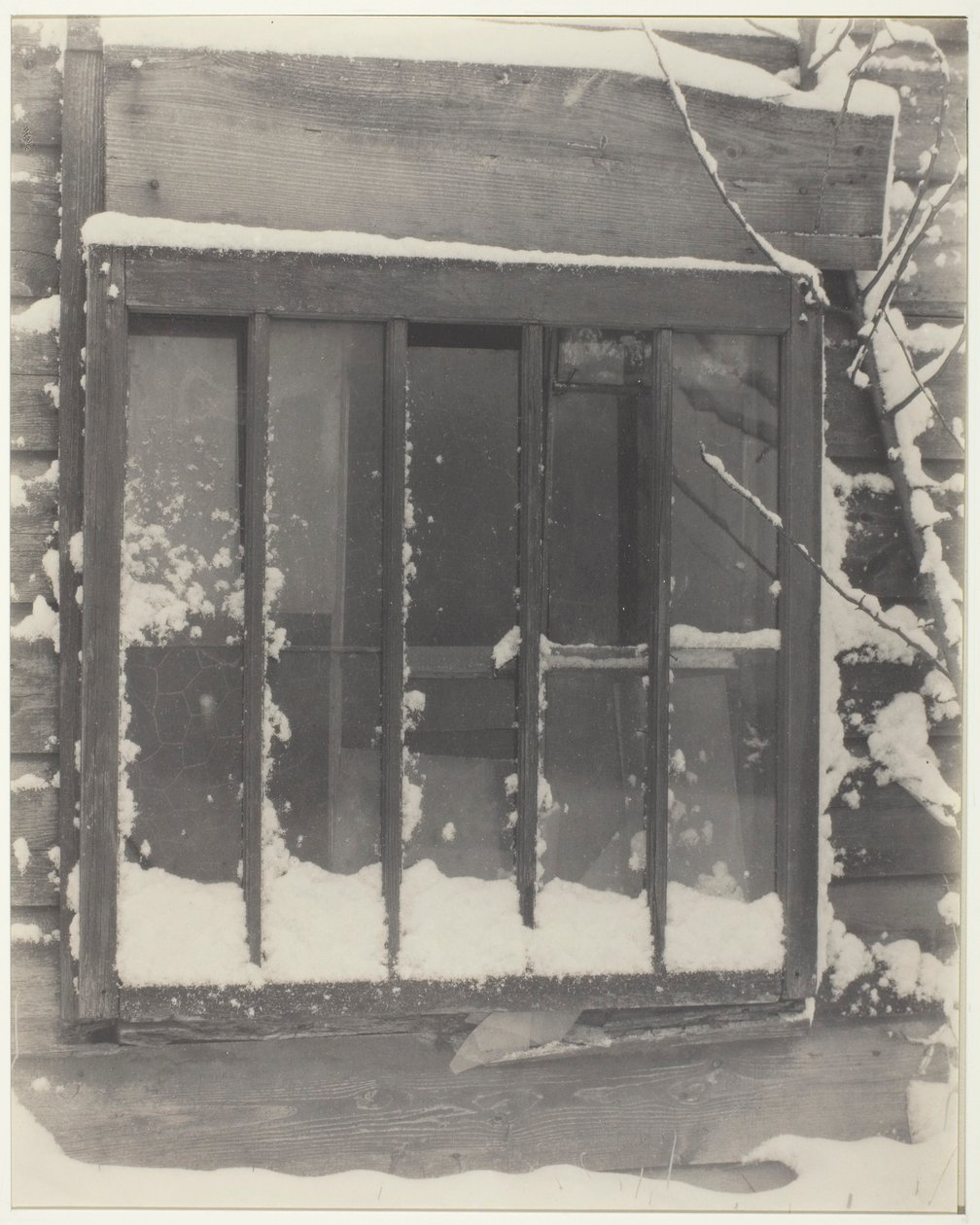 Ikkuna: Puu, lasi, lumi tekijältä Alfred Stieglitz