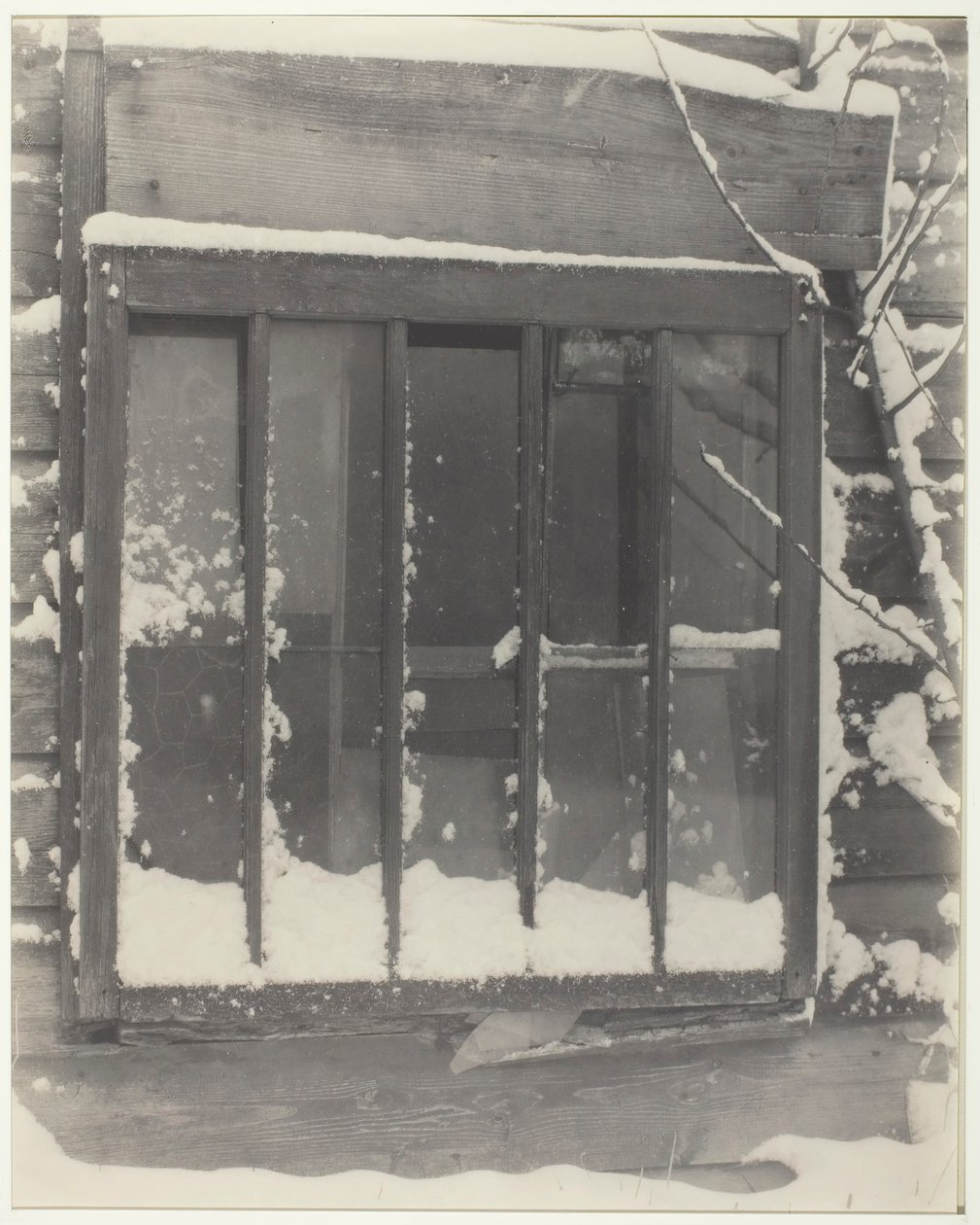 Ikkuna: Puu, lasi, lumi, 1923. tekijältä Alfred Stieglitz