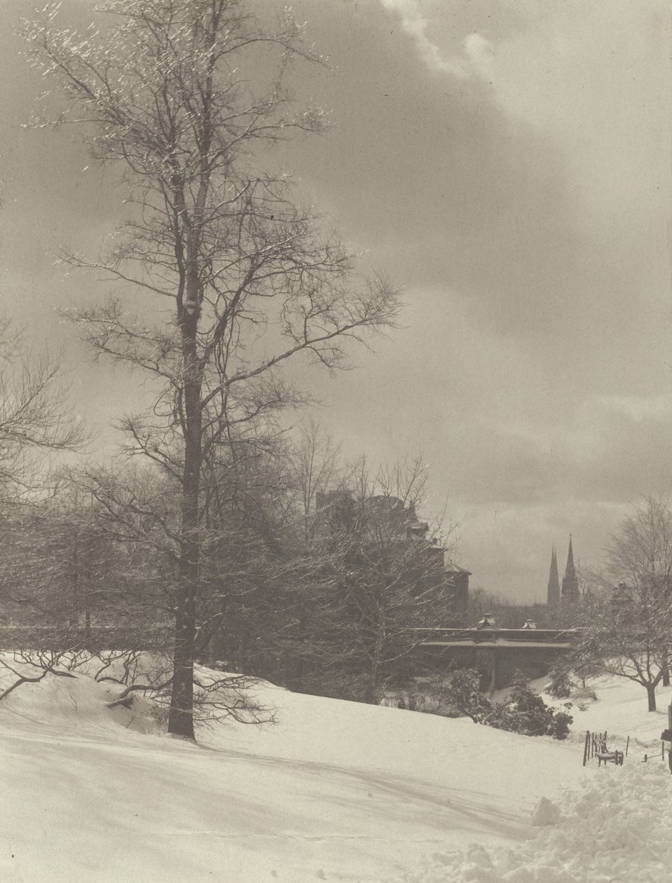 Talvi (Central Park) tekijältä Alfred Stieglitz