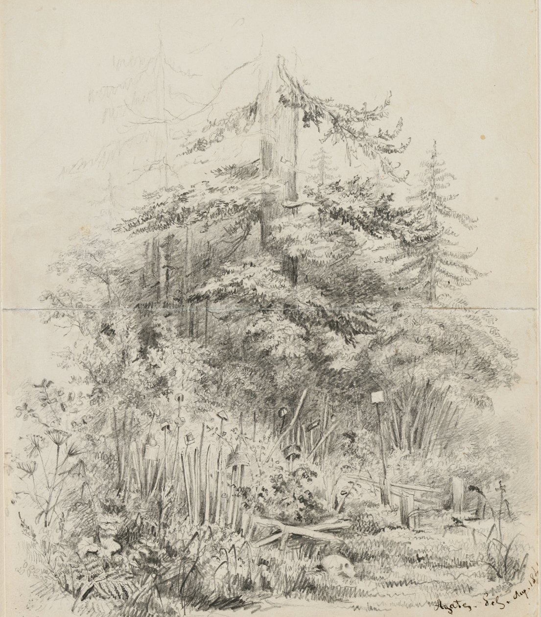 Indian Burial Place, Oregon, 1841 (grafiitti kahdella saumatulla luonnosvihkon arkilla kermanväristä kudottupaperia) tekijältä Alfred Thomas Agate
