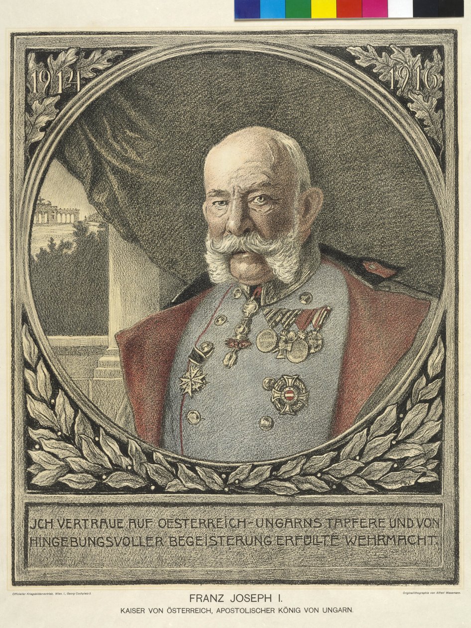 Itävallan keisari Franz Joseph I tekijältä Alfred Wesemann