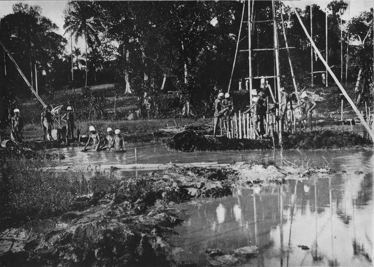 Gem Mining, Ceylon, 1890, 1910 tekijältä Alfred William Amandus Plate