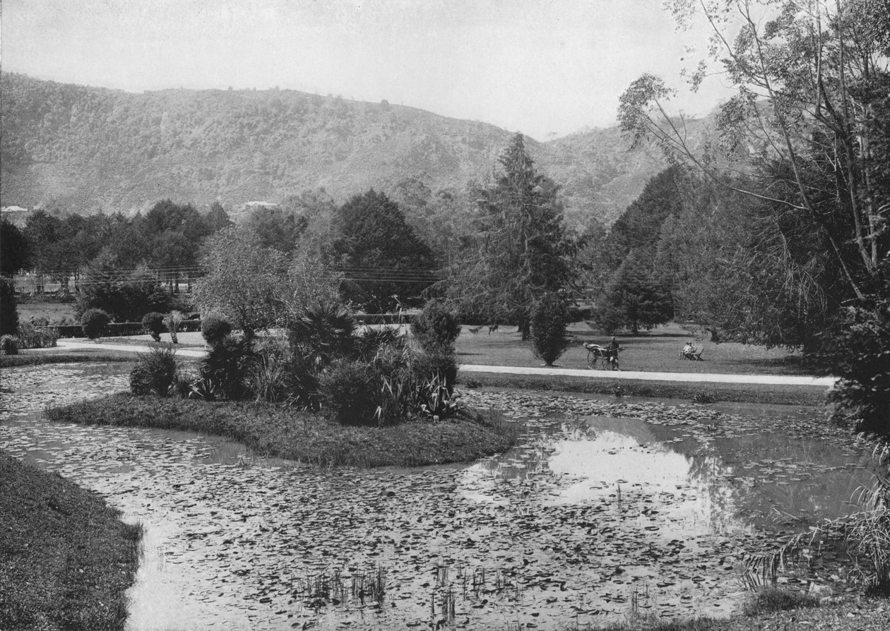 Hakgalla Gardens from the Lotus Pond, Nuwara Eliya, c1890, 1910 tekijältä Alfred William Amandus Plate