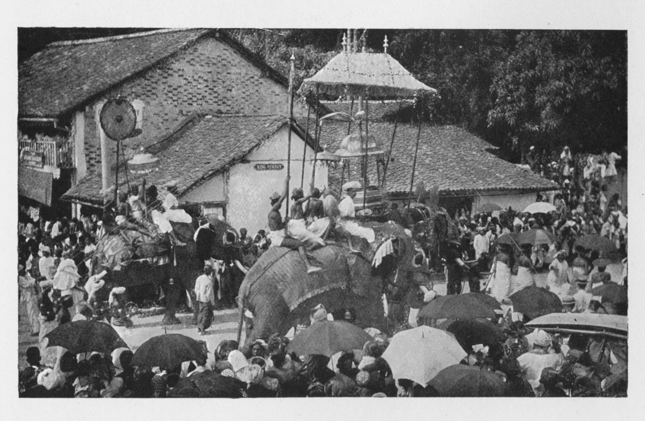 Kandy Perahera. - Kandyan Chiefsin kuljettama norsujen kulkue, c1890, 1910 tekijältä Alfred William Amandus Plate