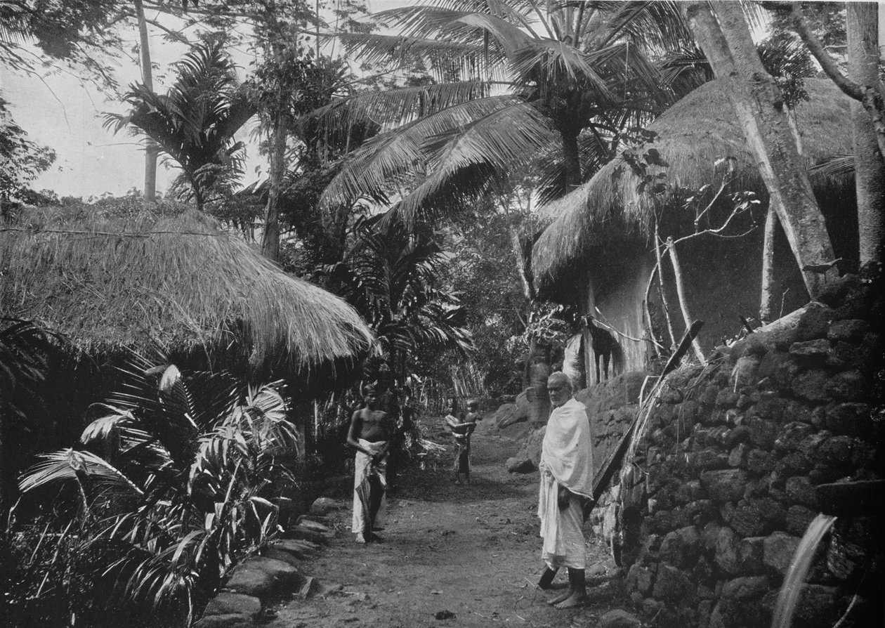 Native Huts in the Jungle, c1890, 1910 tekijältä Alfred William Amandus Plate