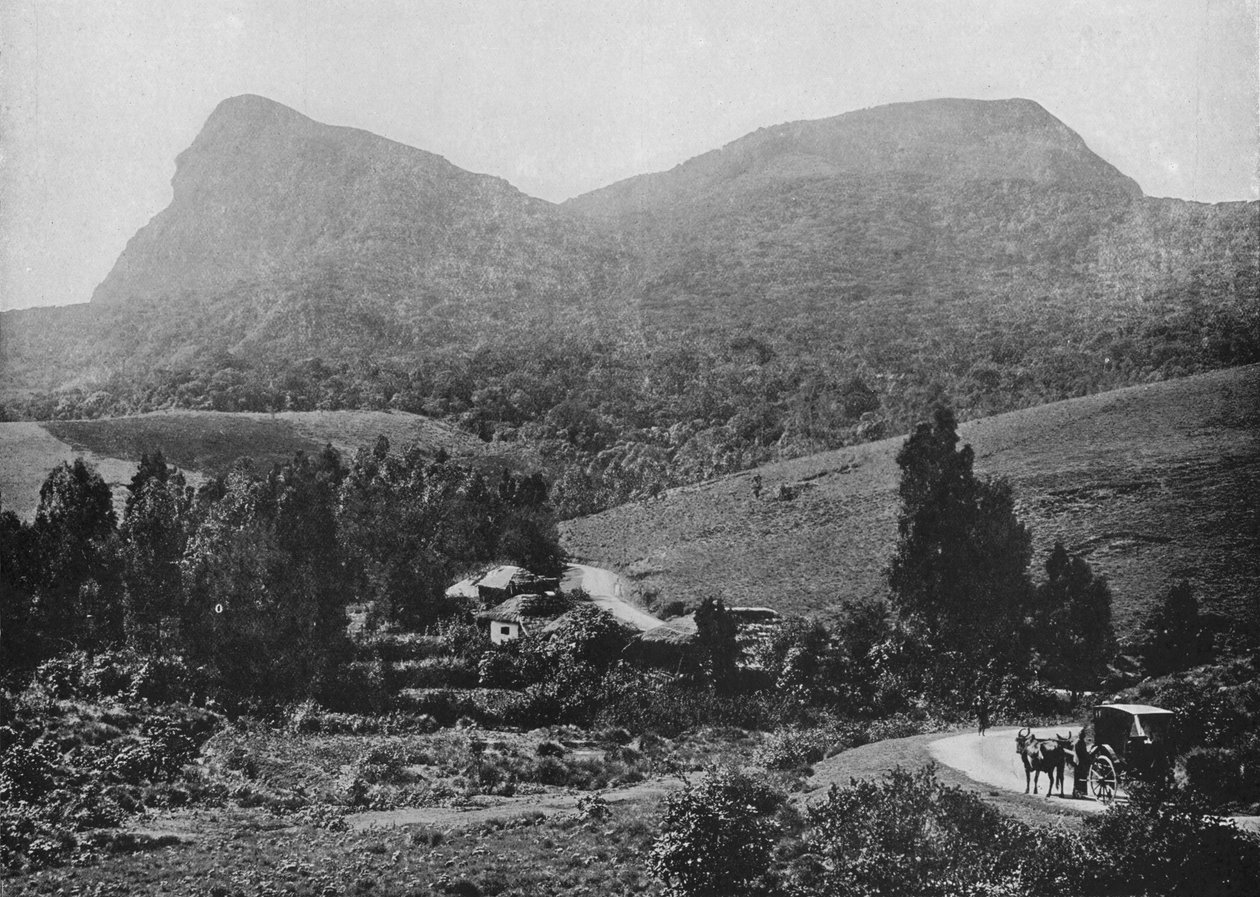 Matkalla Hakgallaan. Hakgalla Rock in the Distance, c1890, 1910 tekijältä Alfred William Amandus Plate