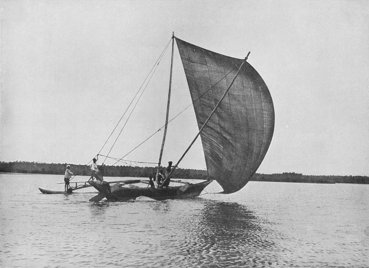 Outrigger-kanootti täydessä purjeessa Negombo-järvellä, c1890, 1910 tekijältä Alfred William Amandus Plate