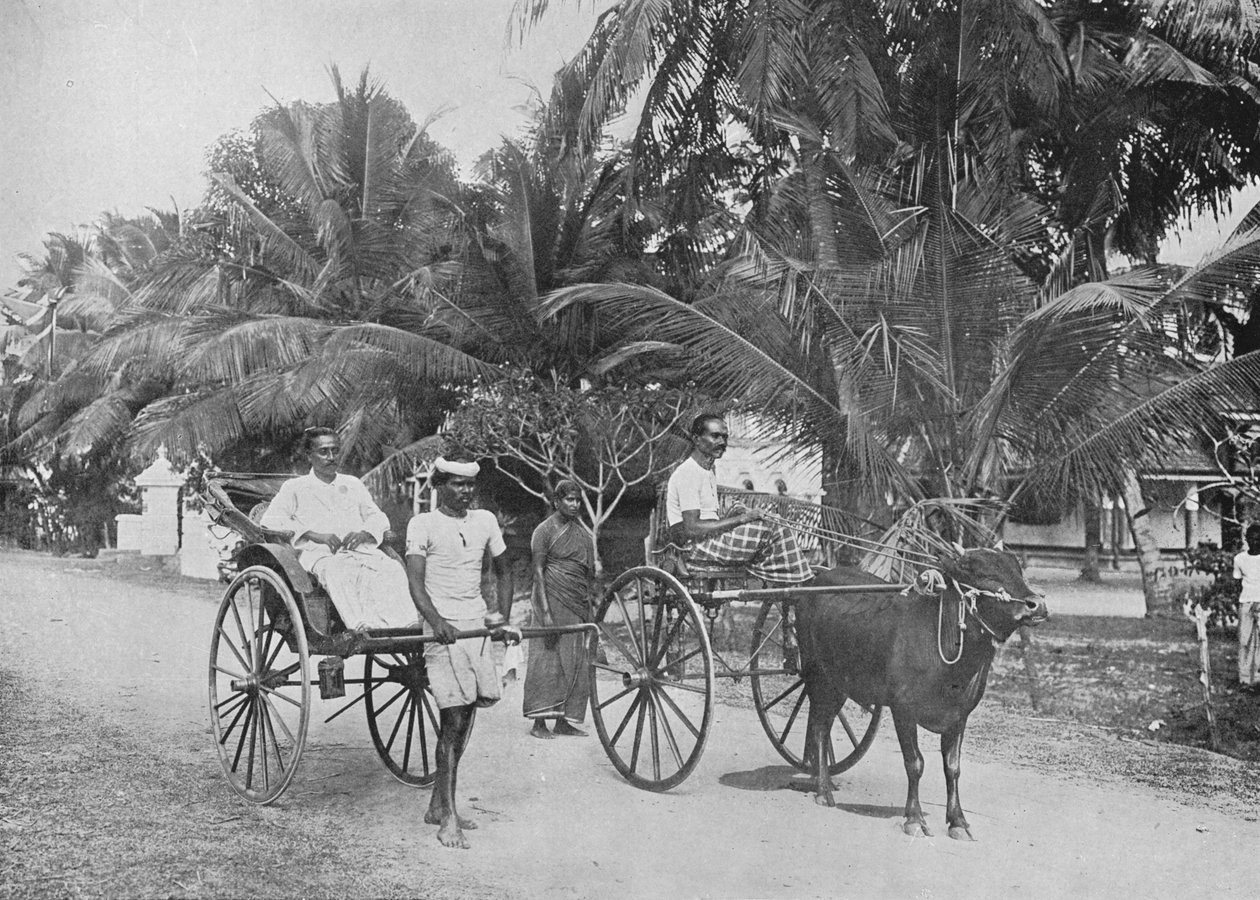 Rickshaw and Racing Hackery, c1890, 1910 tekijältä Alfred William Amandus Plate