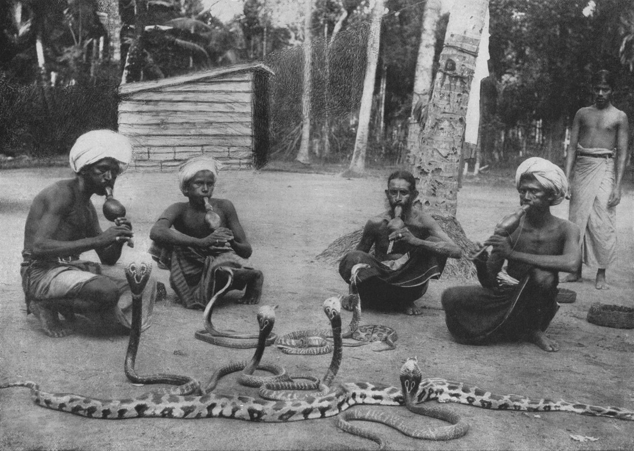 Snake Charmers, c1890, 1910 tekijältä Alfred William Amandus Plate