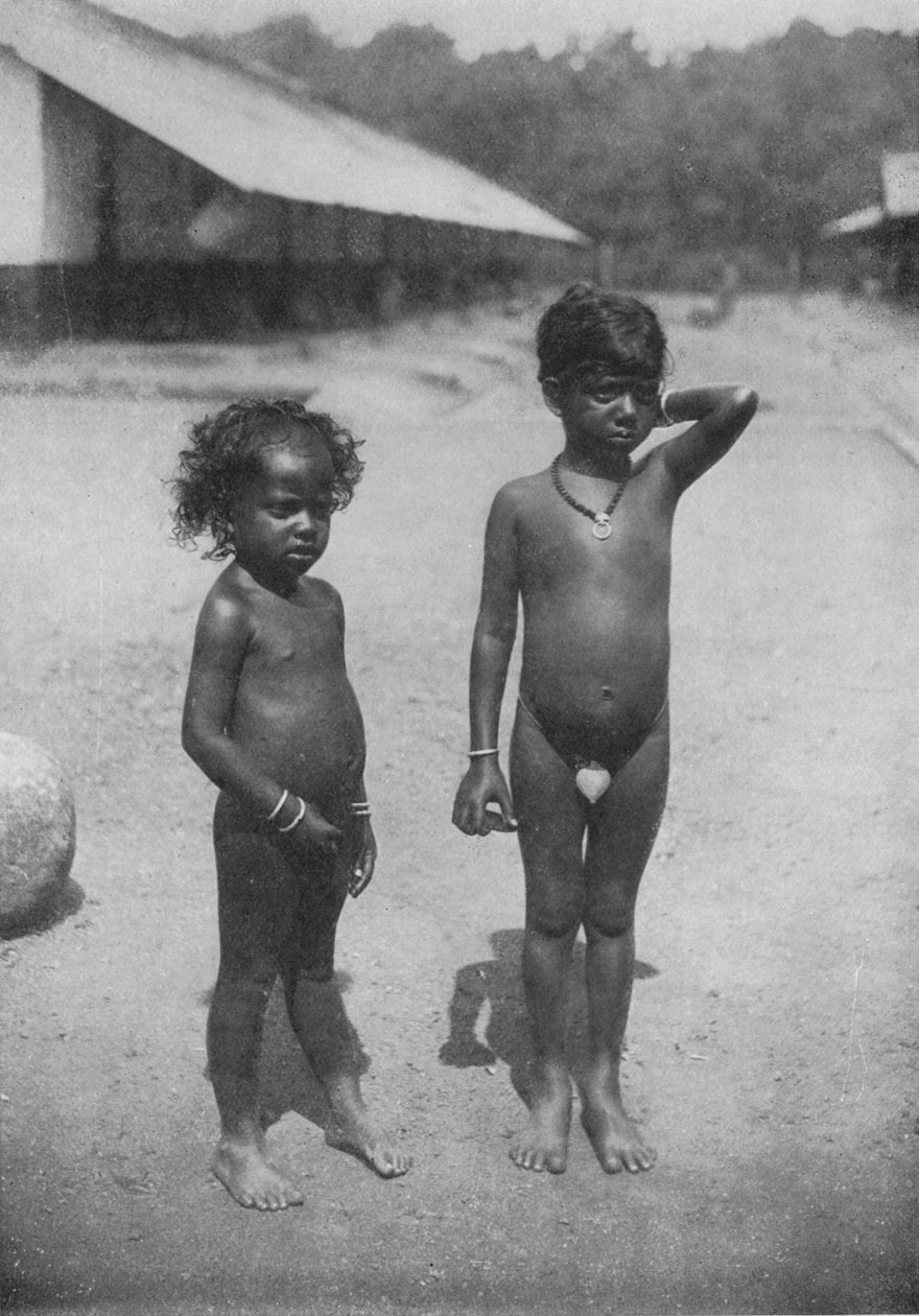 Tamil Estate Children, c1890, 1910 tekijältä Alfred William Amandus Plate