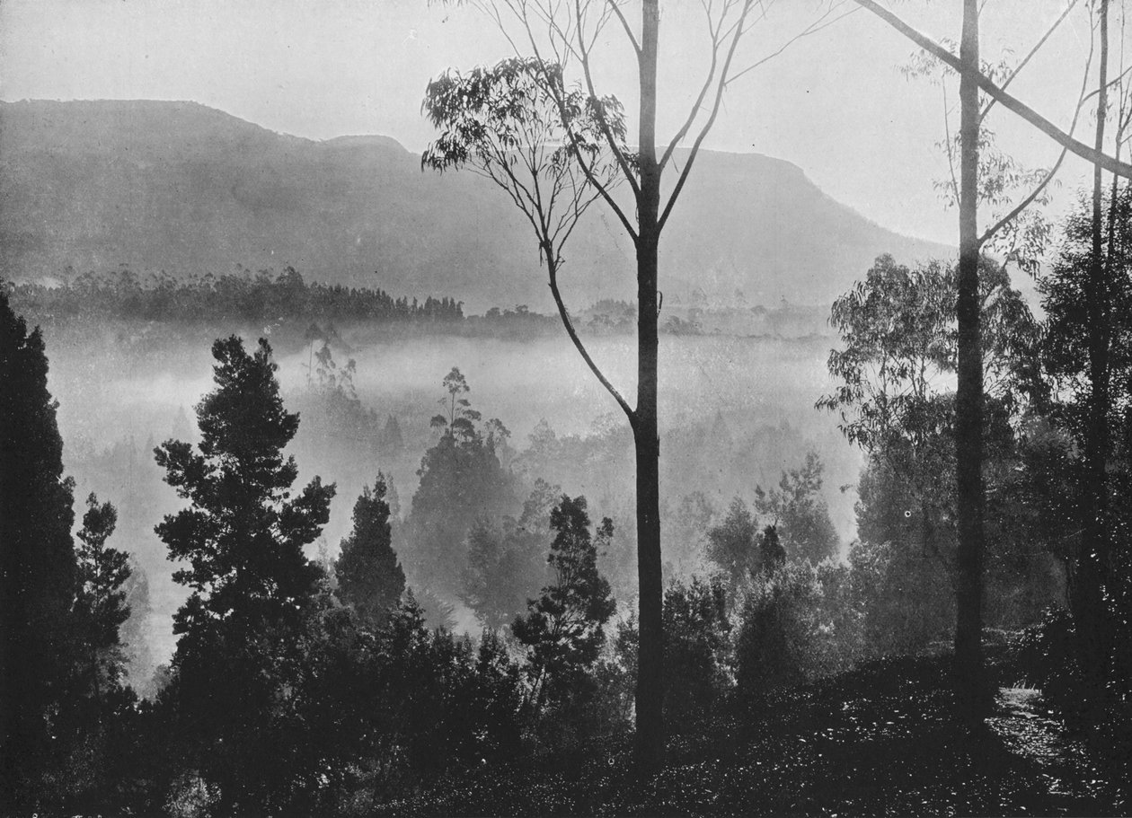 Varhaisen aamun sumu nousemassa Nuwara Eliyassa, c1890, 1910 tekijältä Alfred William Amandus Plate