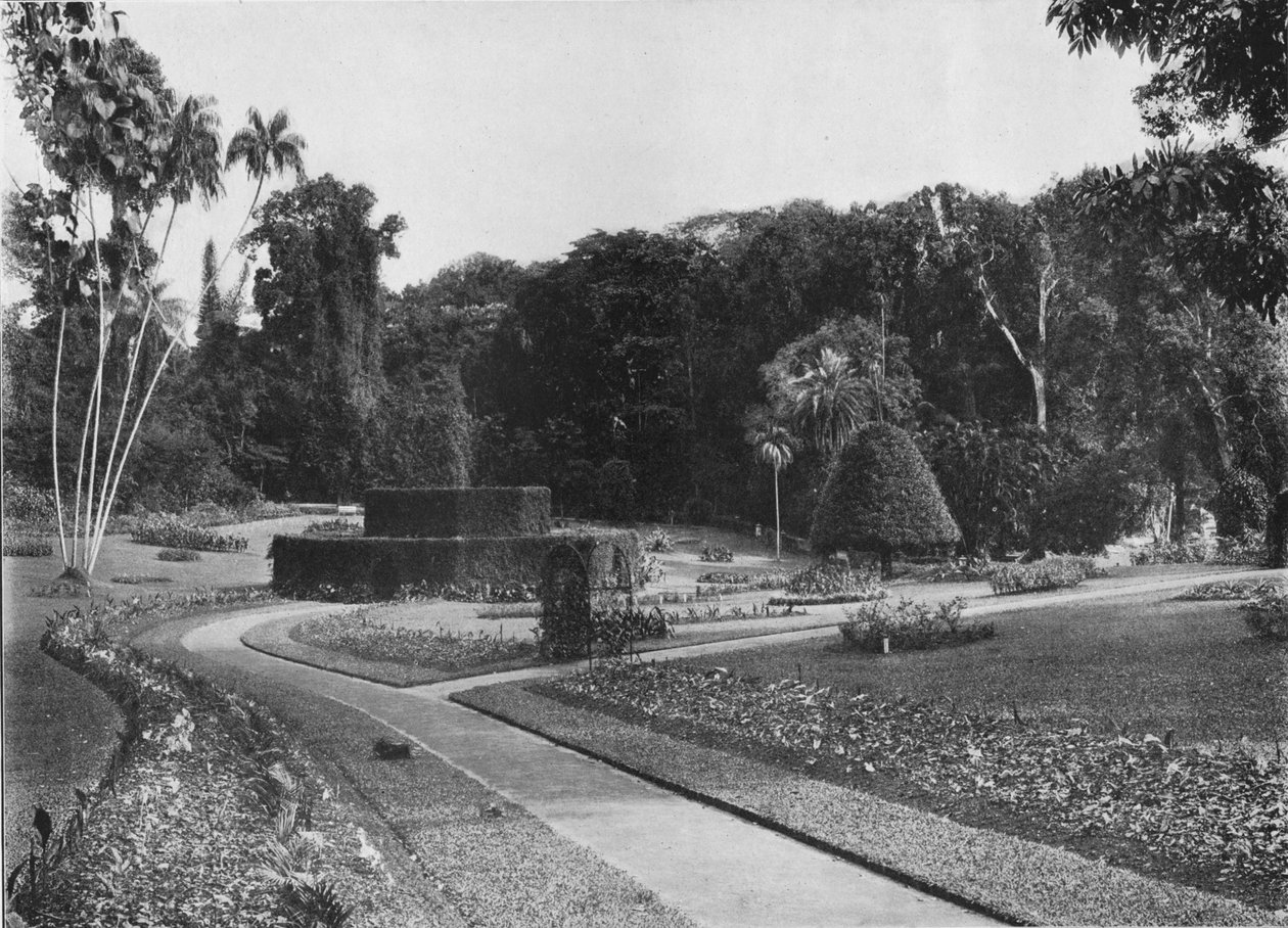 Ferry, Peradeniya Gardens, Ceylon, 1890 1910 tekijältä Alfred William Amandus Plate
