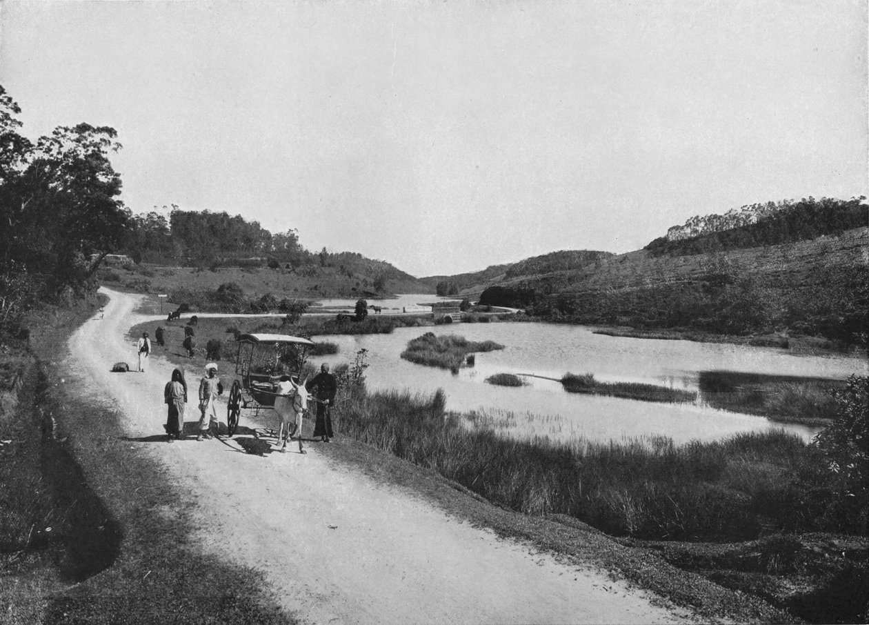 The Moon Plains, Nuwara Eliya, c1890, 1910 tekijältä Alfred William Amandus Plate