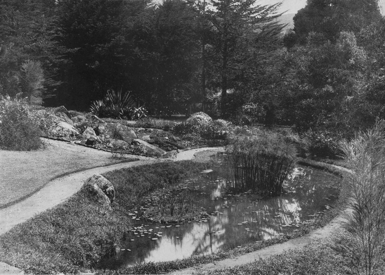 Rock Garden, Hakgalla Gardens, Nuwara Eliya, c1890, 1910 tekijältä Alfred William Amandus Plate