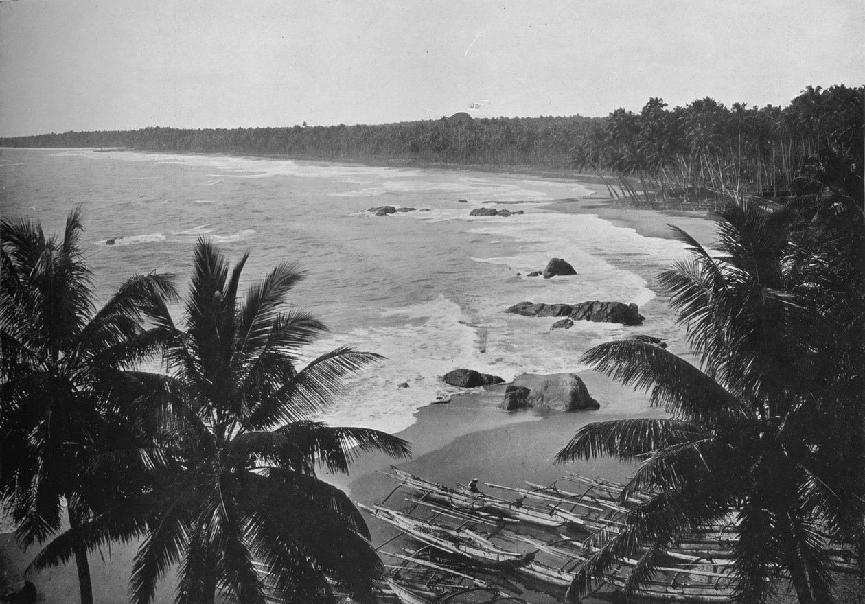 Näkymä Mount Laviniasta, näyttää Cocoanut Palms pitkin merenrantaa, c1890, 1910 tekijältä Alfred William Amandus Plate