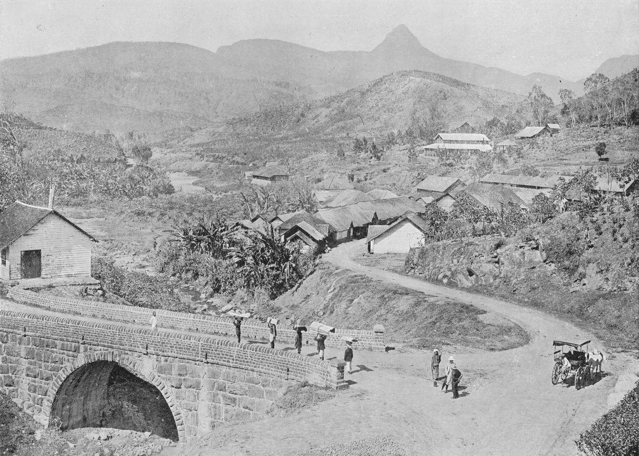 Näkymä Maskeliyasta, jossa näkyy Adams Peak, c1890, 1910 tekijältä Alfred William Amandus Plate