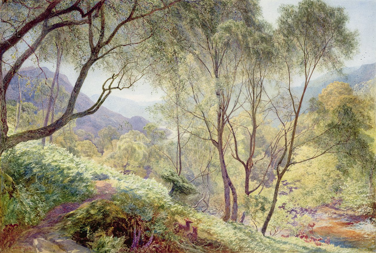 Ullswater Gowbarrow Parkista, 1864 tekijältä Alfred William Hunt