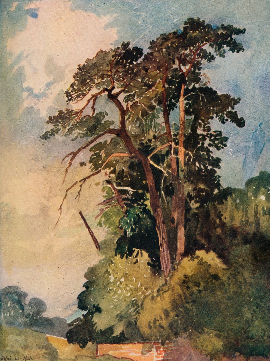 Study of Trees, c1880 tekijältä Alfred William Rich