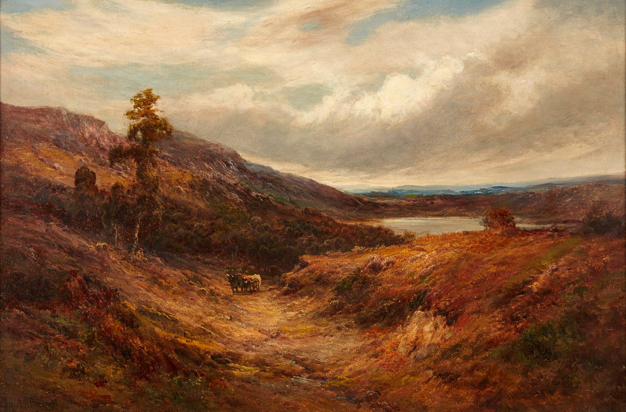 Highland Cattle on a Mountain Path (öljy kankaalle) tekijältä Alfred de Breanski