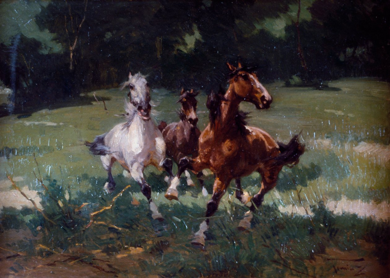 Juoksuhevoset, maalaus Alfredo Tominz (1854-1936), öljy pahville, 67x48 cm, Italia tekijältä Alfredo Tominz