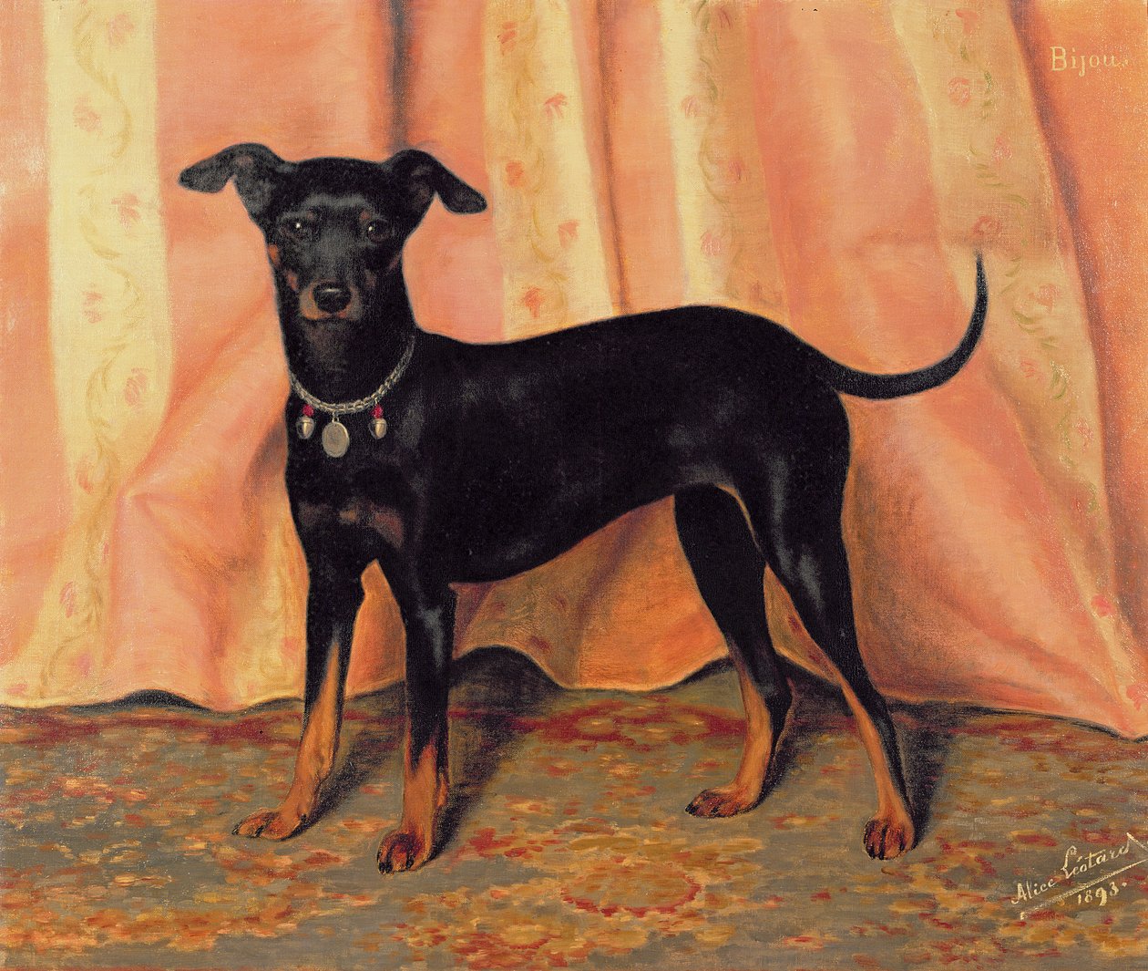 Tutkimus Bijousta, bichonterrieristä, 1893 tekijältä Alice Leotard