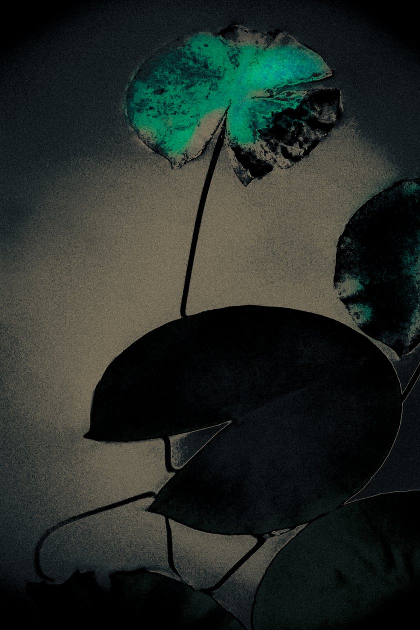 Emerald Spring, sarjasta Spring, 2020 (käsin maalattu valokuva) tekijältä Alice Gur-Arie