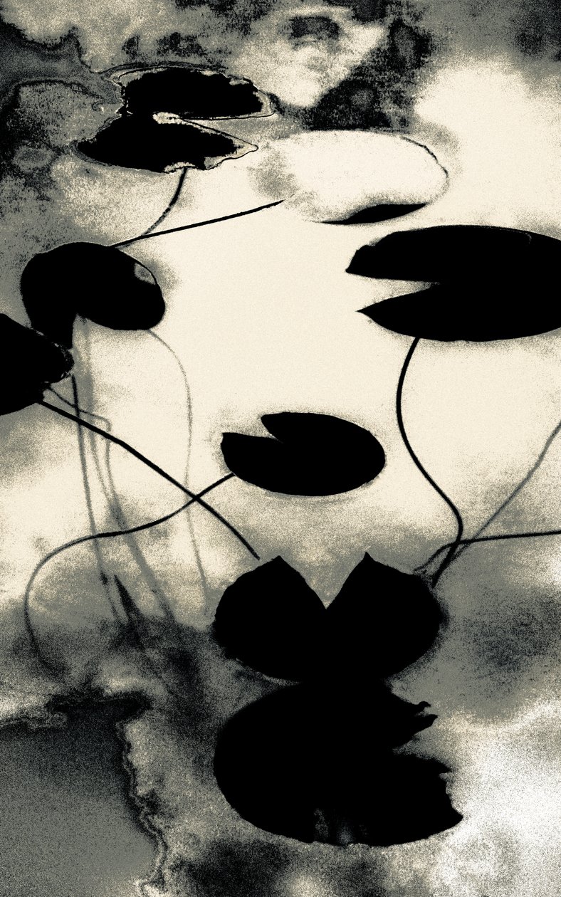 Gold Dust Shadows, sarjasta Spring, 2020 (käsin maalattu valokuva) tekijältä Alice Gur Arie