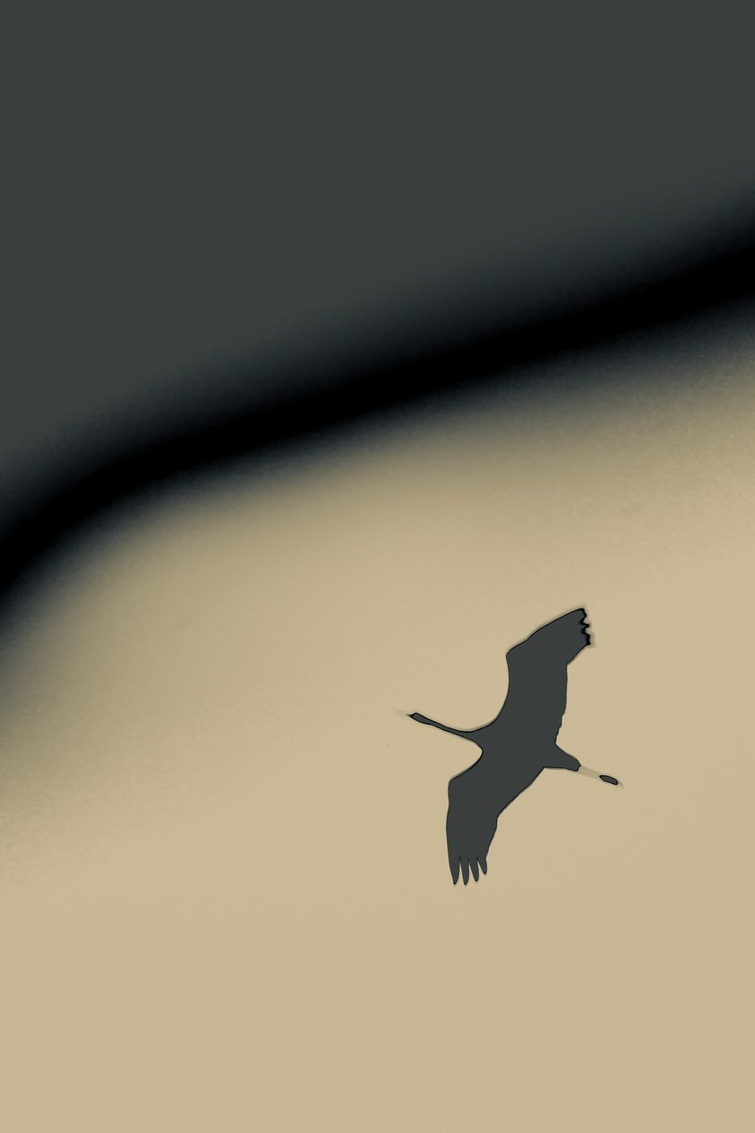 Into the Void, 2016 (valokuva) tekijältä Alice Gur Arie